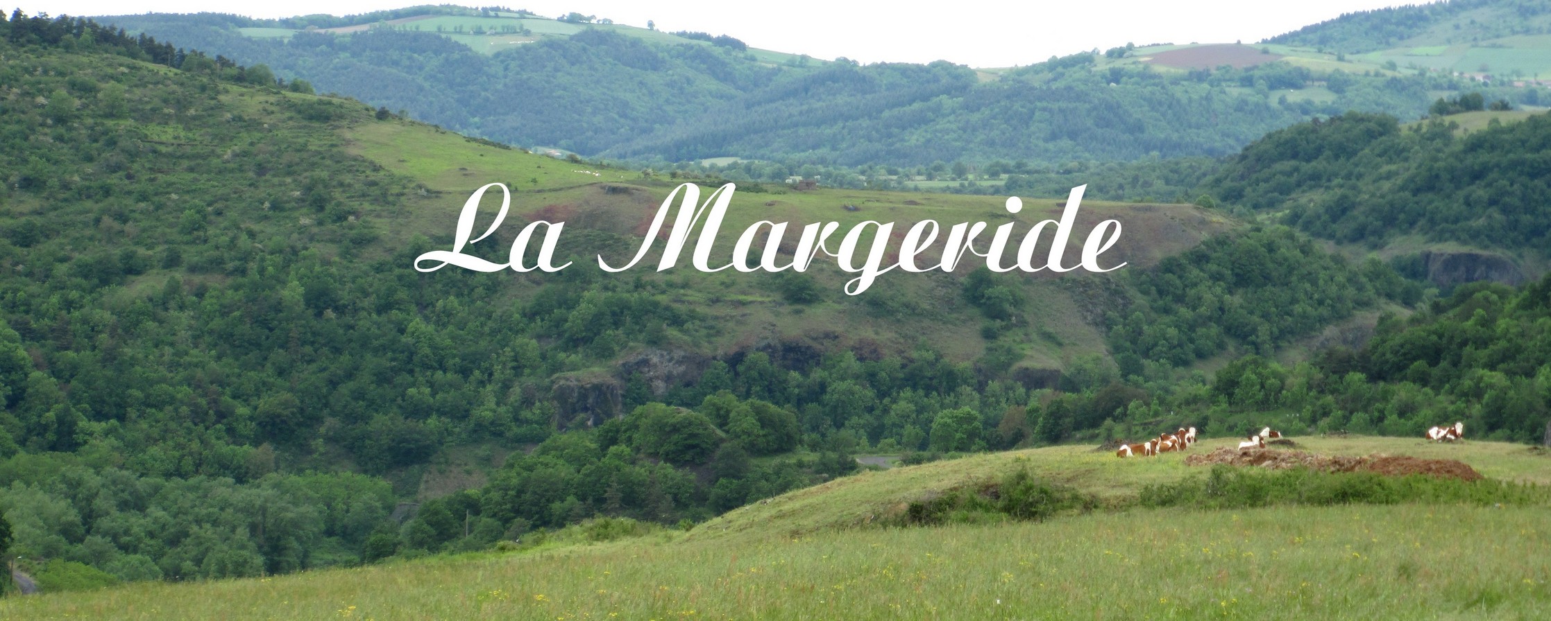 Snuffelen aan Margeride en Mont-Lozère op de site Renske Cramer Creatief